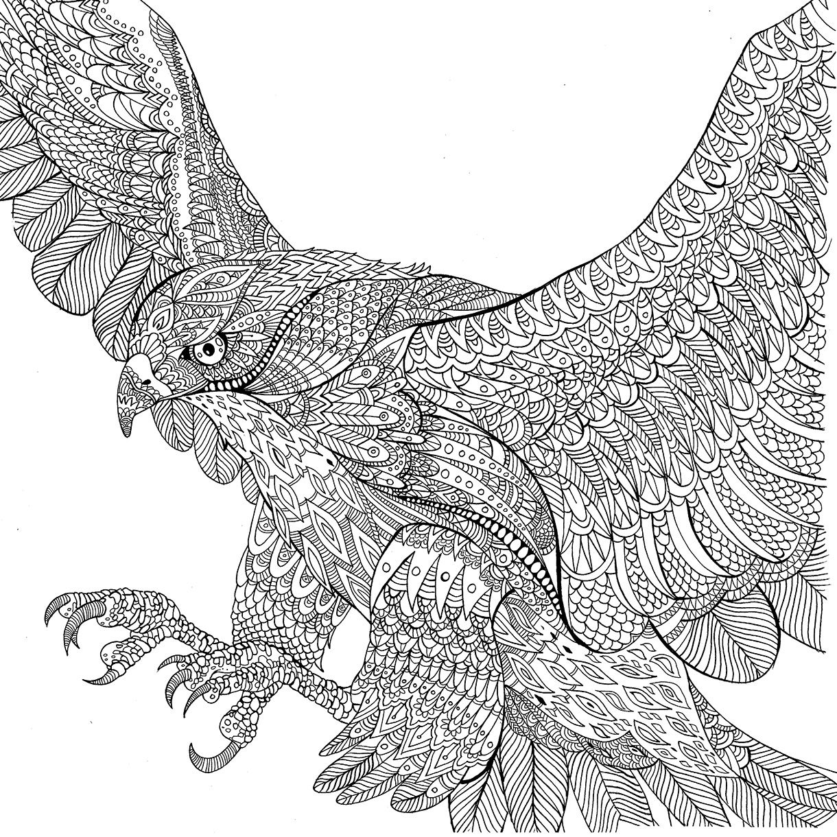 ausmalbilder tiere zum ausdrucken für erwachsene
