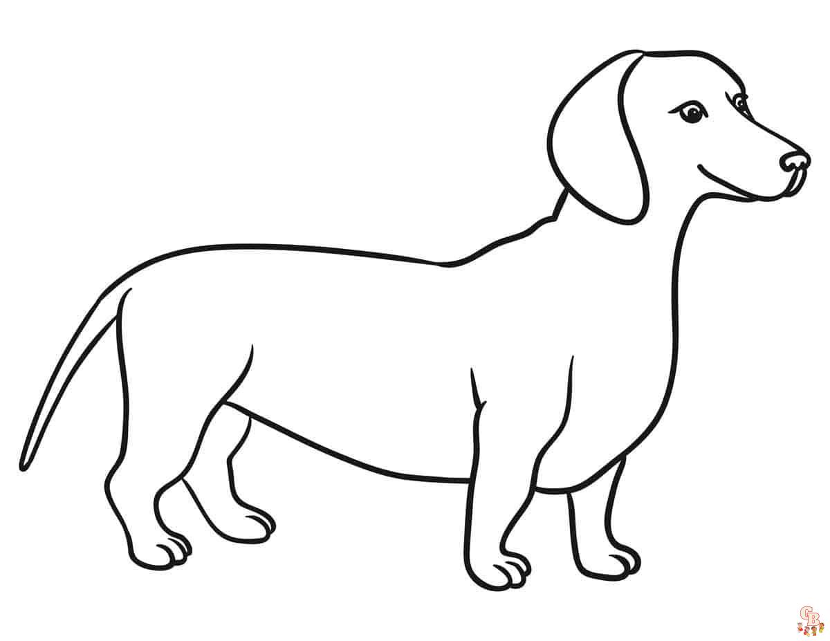 ausmalbilder dackel