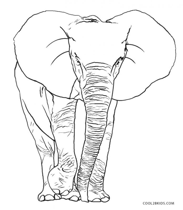 ausmalbilder kostenlos elefant