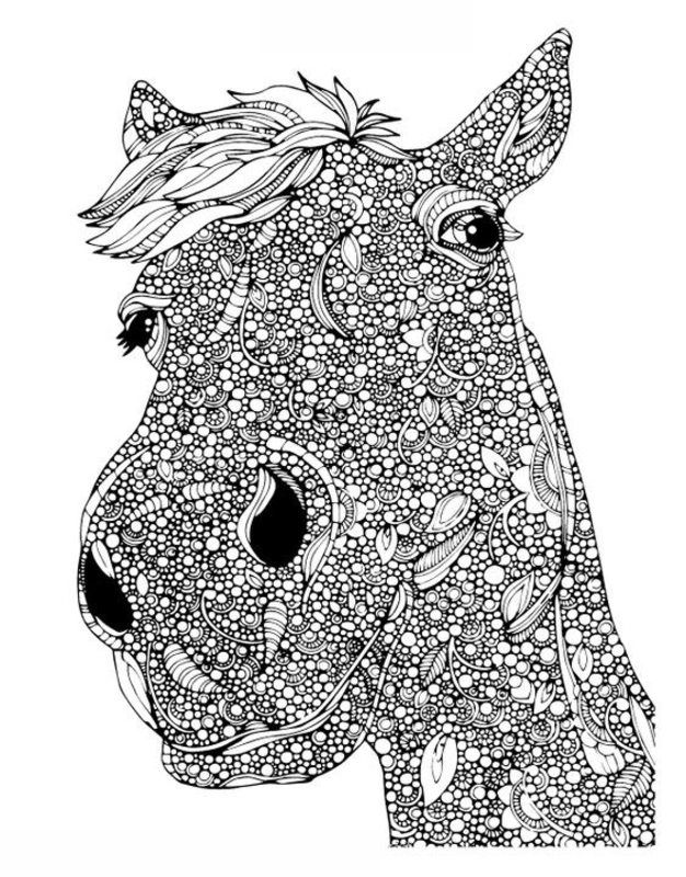 ausmalbilder pferde für erwachsene kostenlos zum ausdrucken