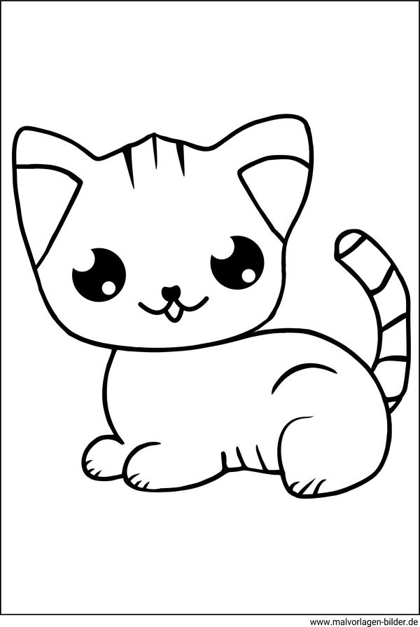 ausmalbilder babykatze