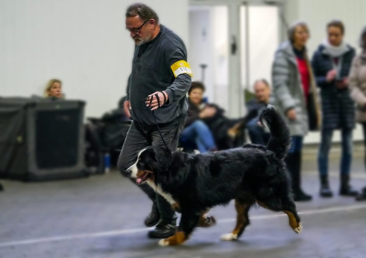 Cacib Kassel 2026 Pemkab Aceh Selatan Gelar Konsultasi Publik Rencana Pembangunan Daerah