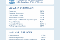 Pflegegeld 2026 Pflegegrad 2 Grundlagen Zum Pflegegrad 1: Anspruch Auf Haushaltshilfe Pflegegeld 2026 Pflegegrad 2 Grundlagen Zum Pflegegrad 1: Anspruch Auf Haushaltshilfe