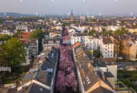 Bonn Triathlon 2026 bonn Sehenswürdigkeiten >>> bonn Kirschblüte, Tipps & Infos Bonn Triathlon 2026 bonn Sehenswürdigkeiten >>> bonn Kirschblüte, Tipps & Infos