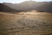 Namibia Rundreise 2026 Namibia Rundreise 2019 On Behance