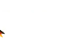 2026 Wm Ball Fußball-wm 2026 In Den Usa, Kanada Und Mexiko: Teilnehmer …