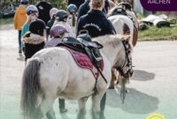 Reit Wm 2026 Reit-wm 2026 In Aachen:tickets Sind Schon Erhältlich – Himmelfahrt Festival Reit Wm 2026 Reit-wm 2026 In Aachen:tickets Sind Schon Erhältlich – Himmelfahrt Festival