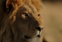 Bmw Open Tennis 2026 1,000 Hp, Quadruplets And The Hand Of God: 2026 bmw Im Is A Game …