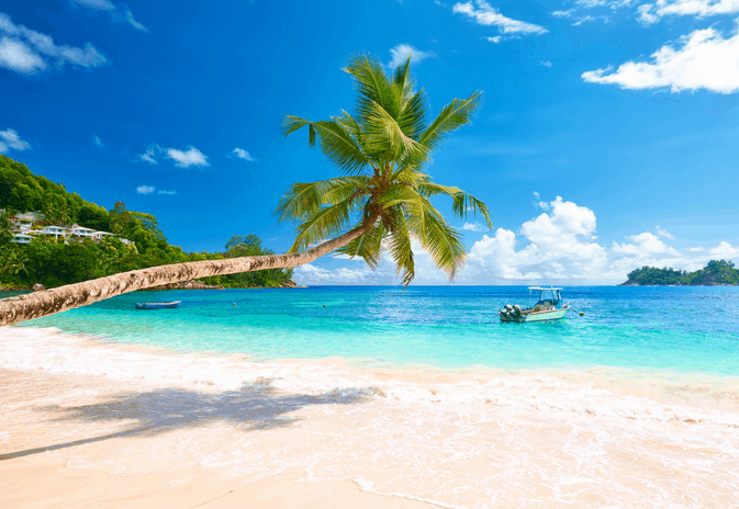  Foto zu Seychellen Urlaub: 8-tägige Rundreise + Flüge ab 1659€ 