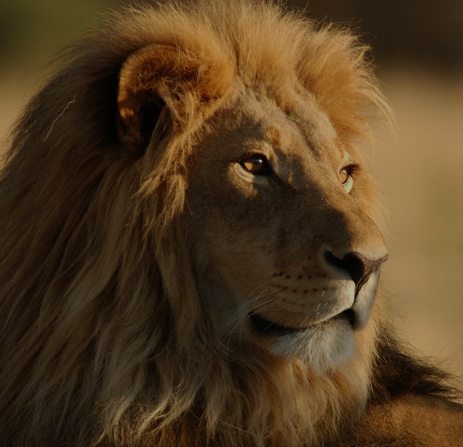  2026 World Cruise - Sense of Adventure 