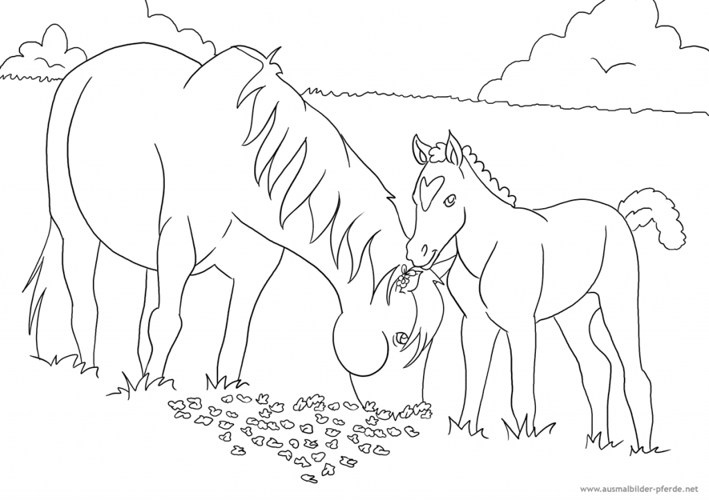 beste ausmalbilder pferde