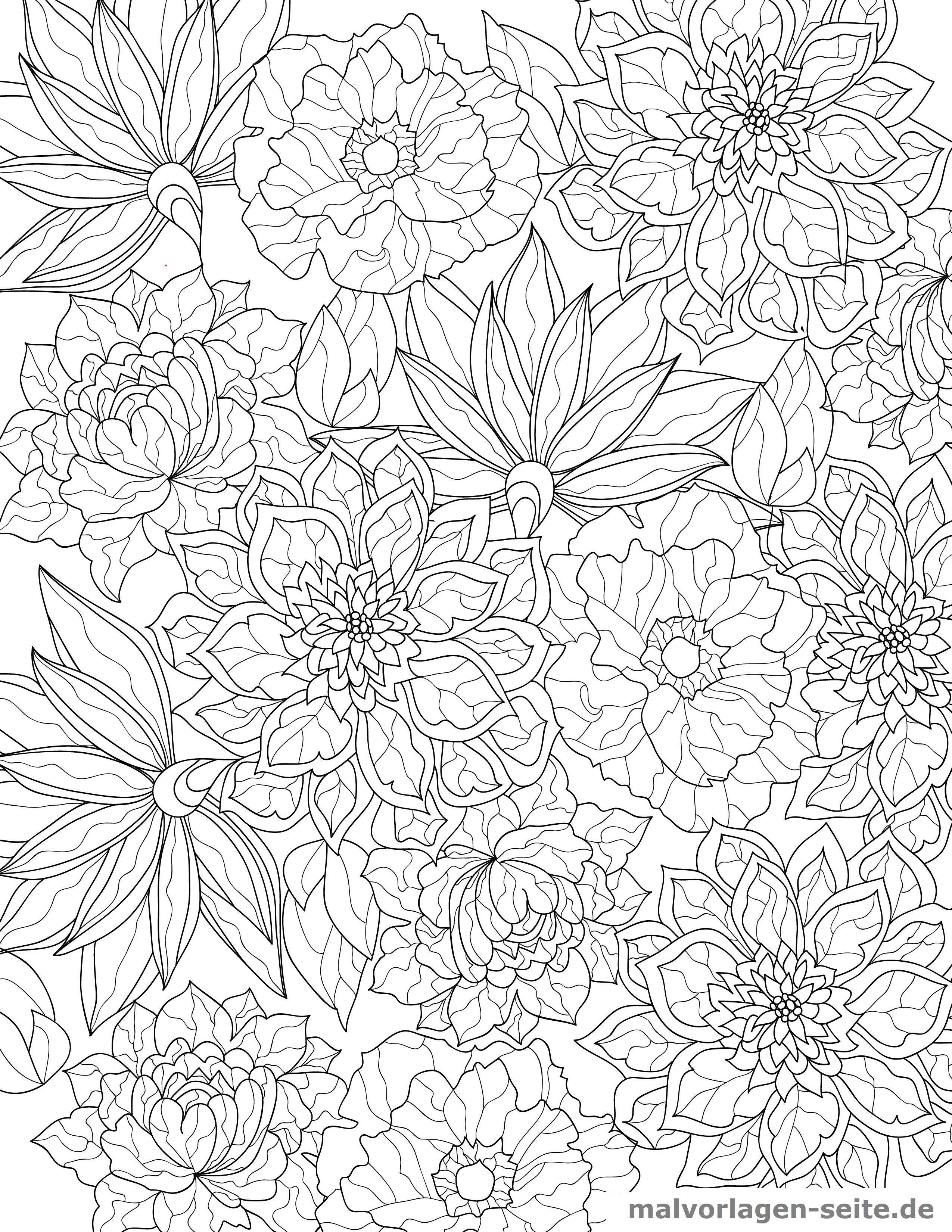 ausmalbilder erwachsene zum ausdrucken