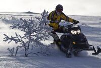 Ski-doo Wallpaper Ski Doo Wallpaper Snowmobile Wallpapers Summit Snowmobiles Backgrounds Background Polaris Wallpapersafari Snow 800r Tec Winter Wallpaperaccess Wallpapercave