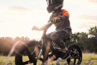 Stacyc Husqvarna 16e Husqvarna Stacyc Replica 16e-drive E-bike -200 Eur