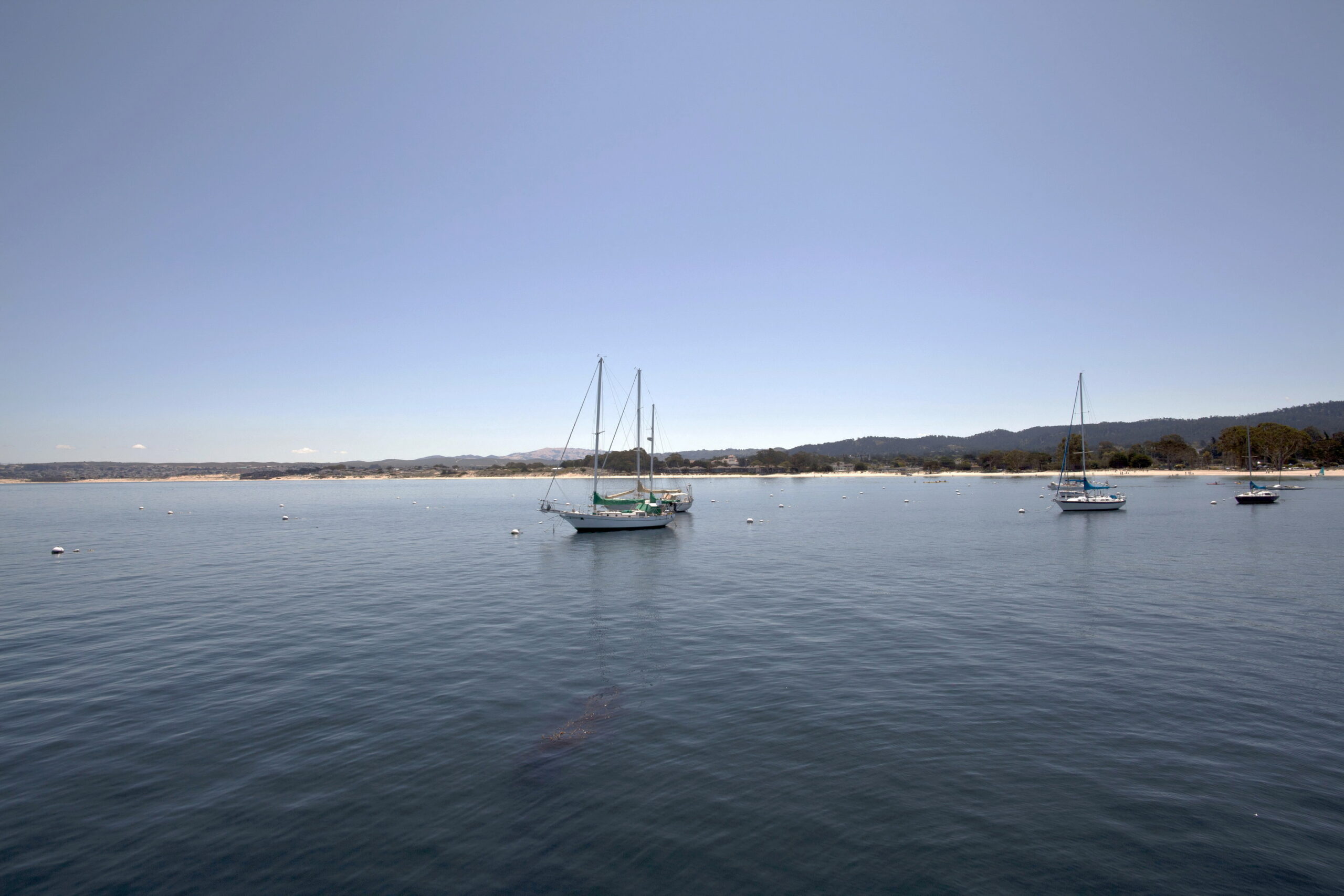 Monterey Bay Wharf The Wharf Panorama