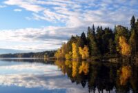 Natuur In Zweden Zweden Natuur Amerika Noord Gevoel Actieve Echt Natuurschoon Reisfoto Inspiratie Aanrader Ervaren