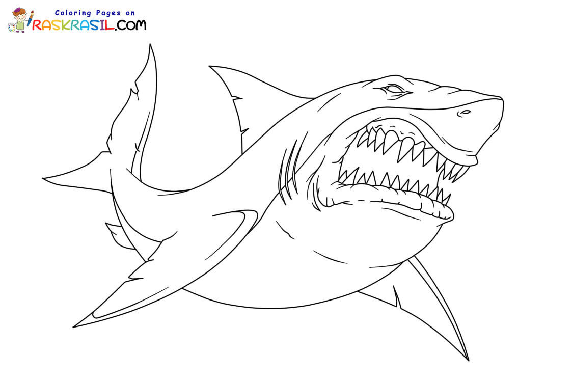 ausmalbilder haifisch