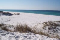 Shell Island Panama City Beach Shell Island – Artofit