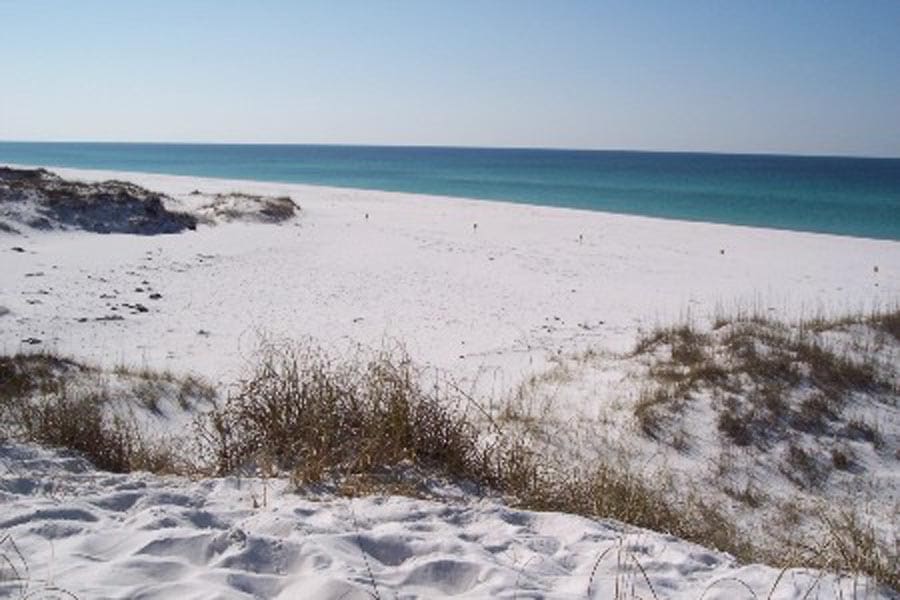 Shell Island Panama City Beach Shell Island – Artofit