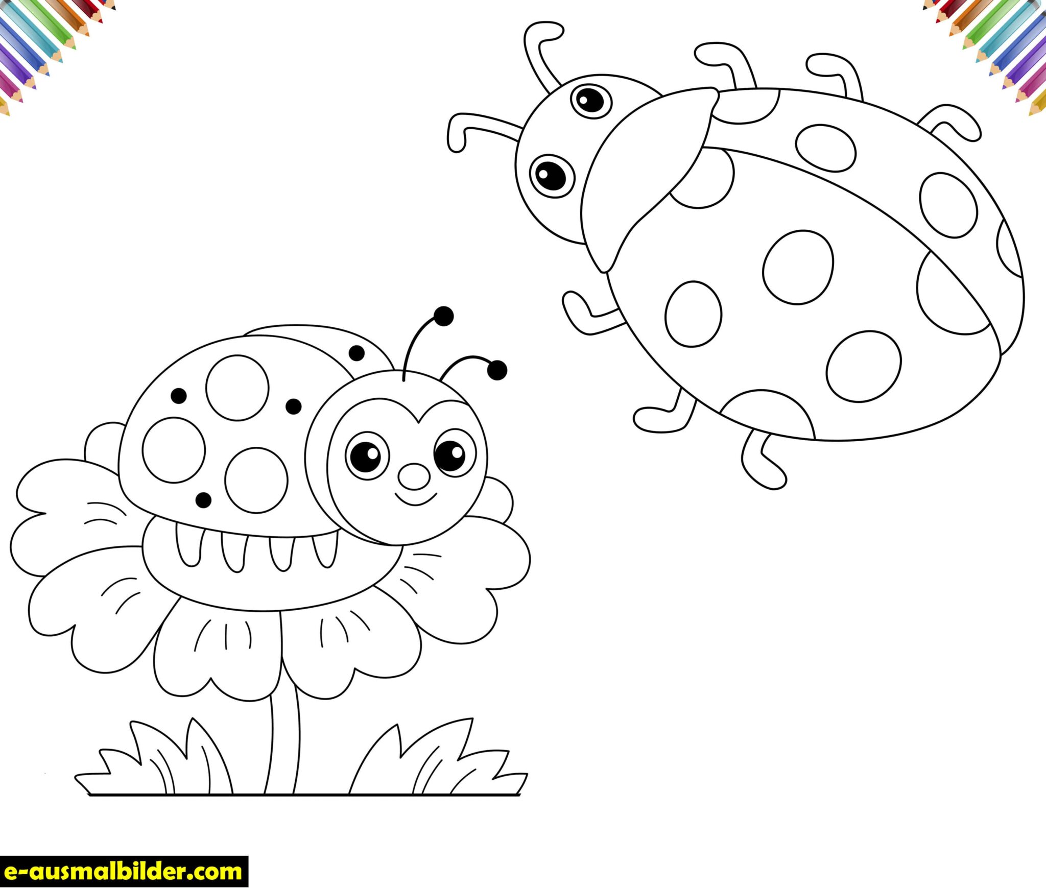 ausmalbilder marienkäfer