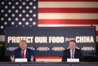 Donald Trump Tariffs Canada Mary Trump Has A Five-word Description Of Her Uncle