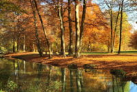 Englischer Garten München Destination Run: Highlights Of Munich's Englischer Garten