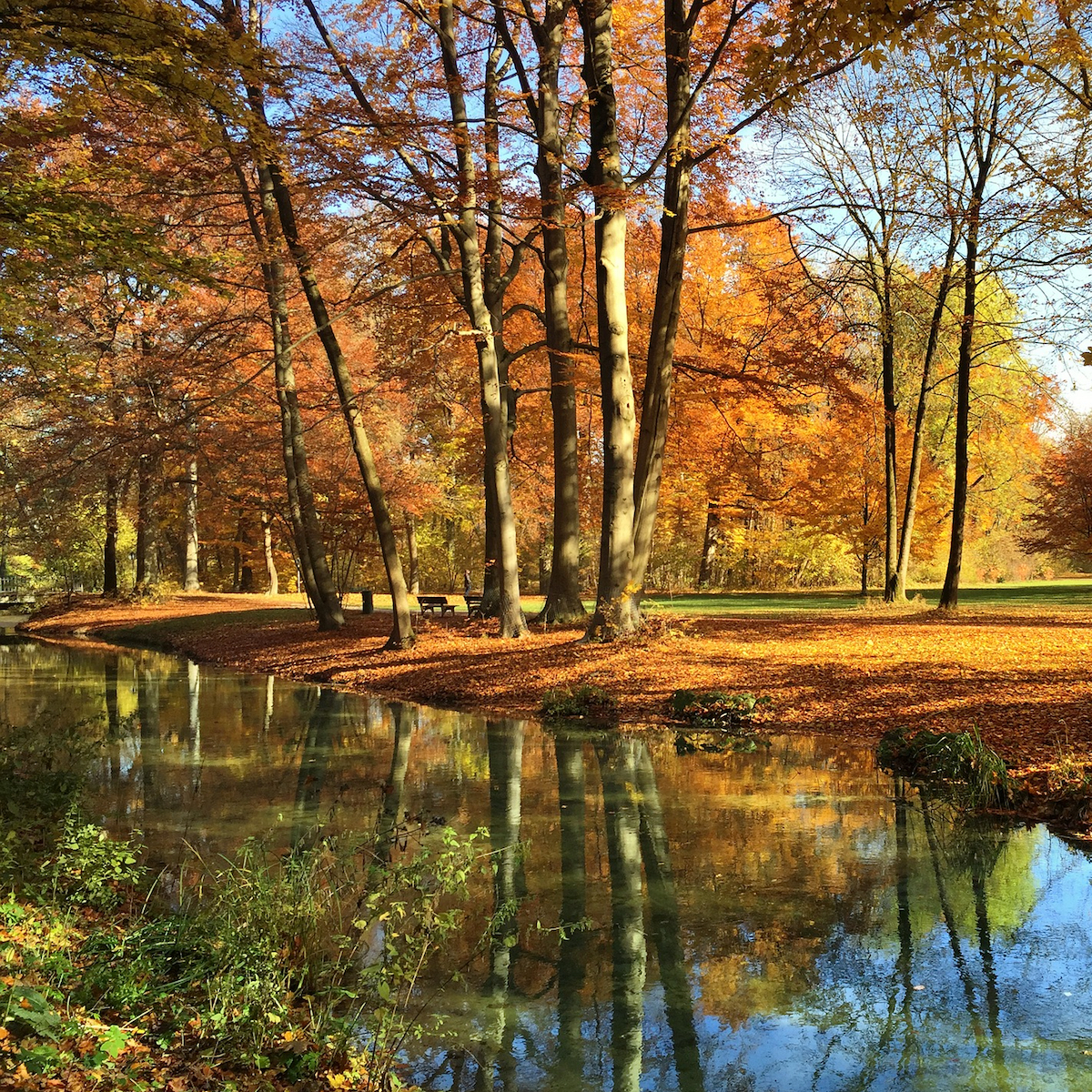 Englischer Garten München Destination Run: Highlights Of Munich's Englischer Garten
