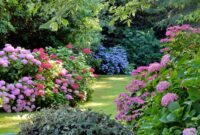 Blumen Und Gärten