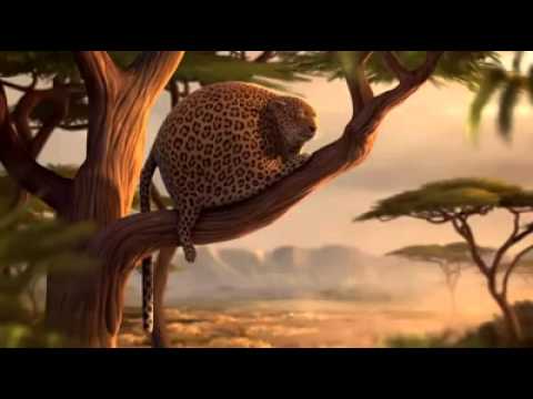 How Do Animals Look Like In The Future 2025 32 Animals That Are Going To Be Extinct Soon (endangered Species Ranked
