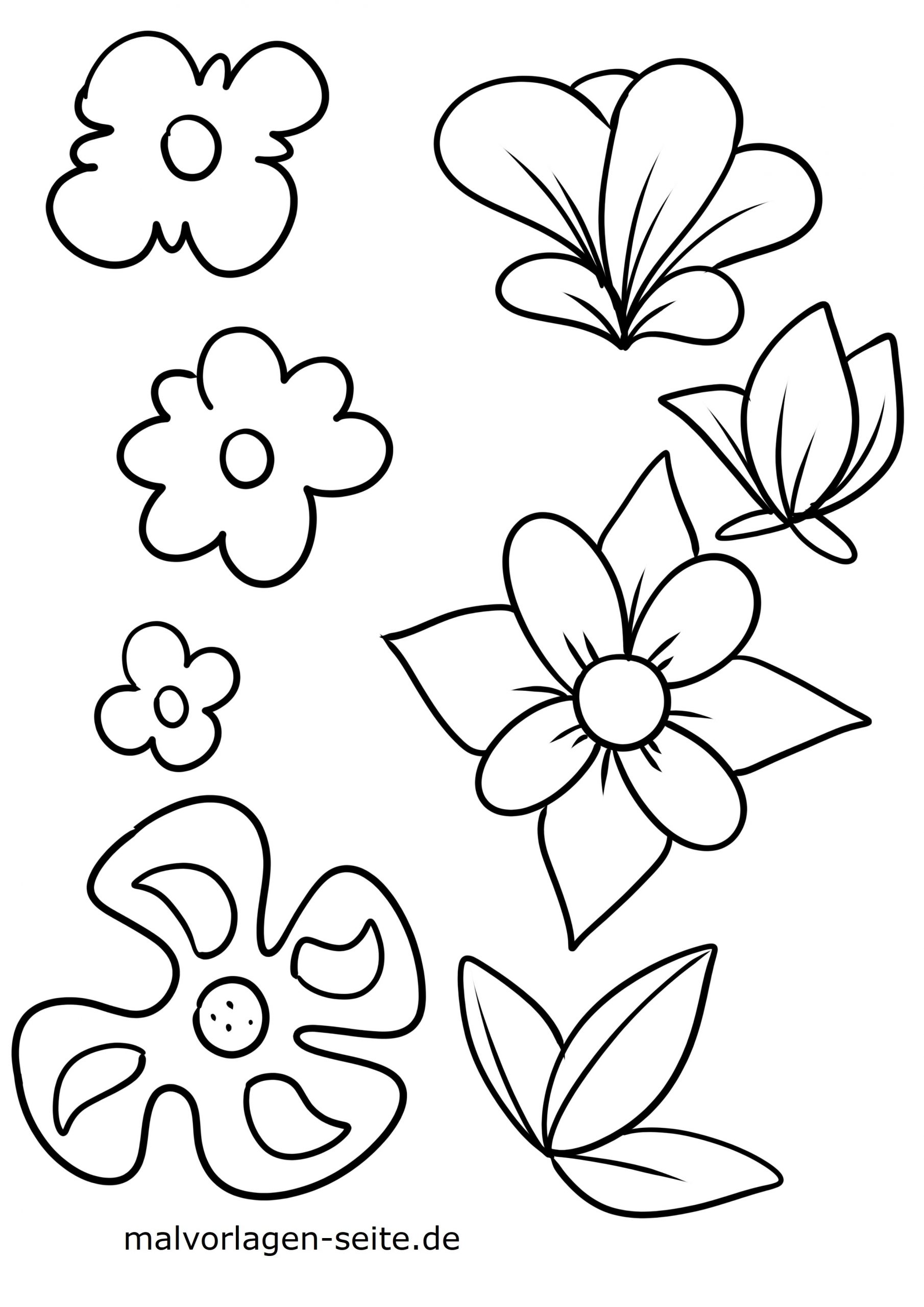ausmalbilder blumen zum ausdrucken