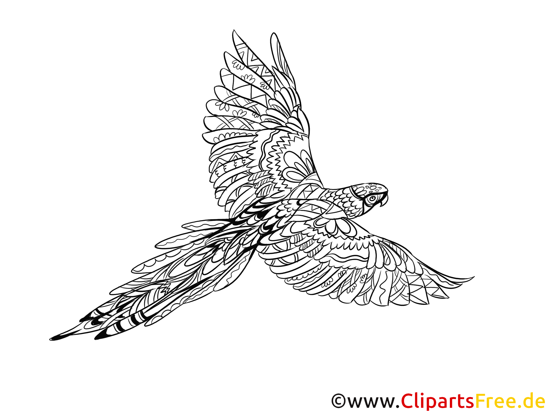 vogel ausmalbilder für erwachsene