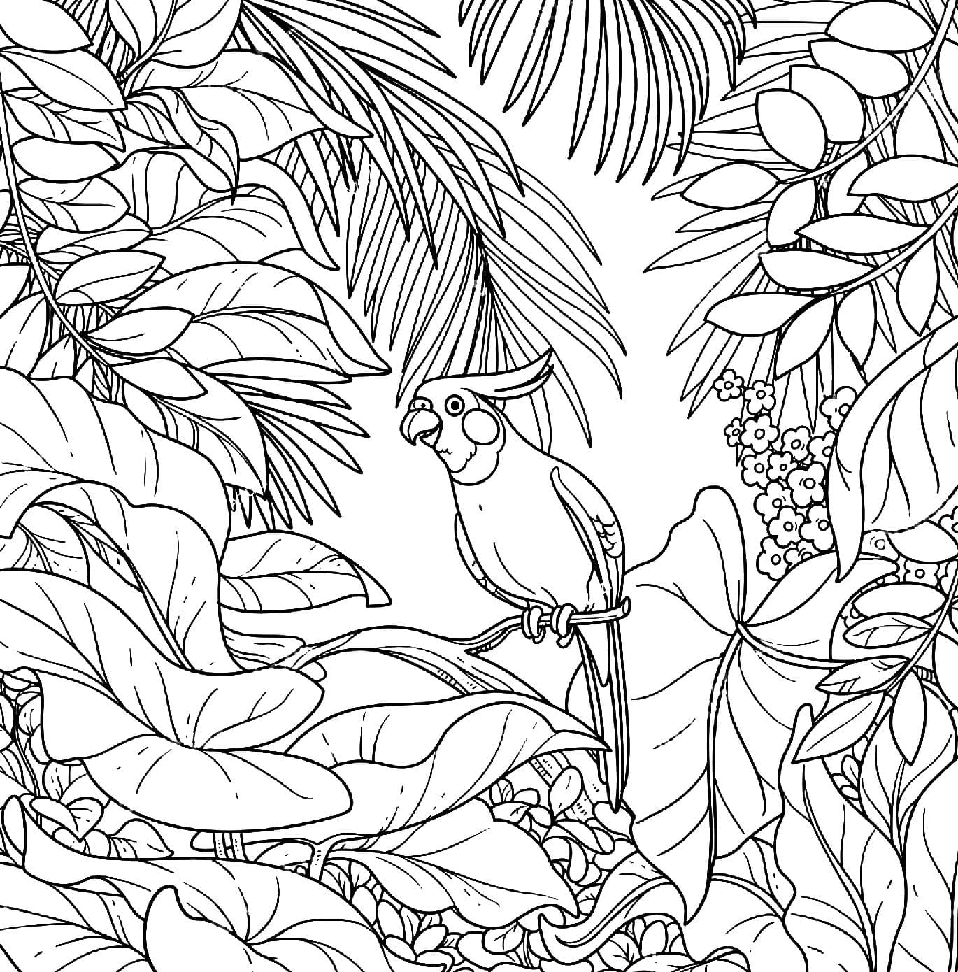 ausmalbilder dschungel