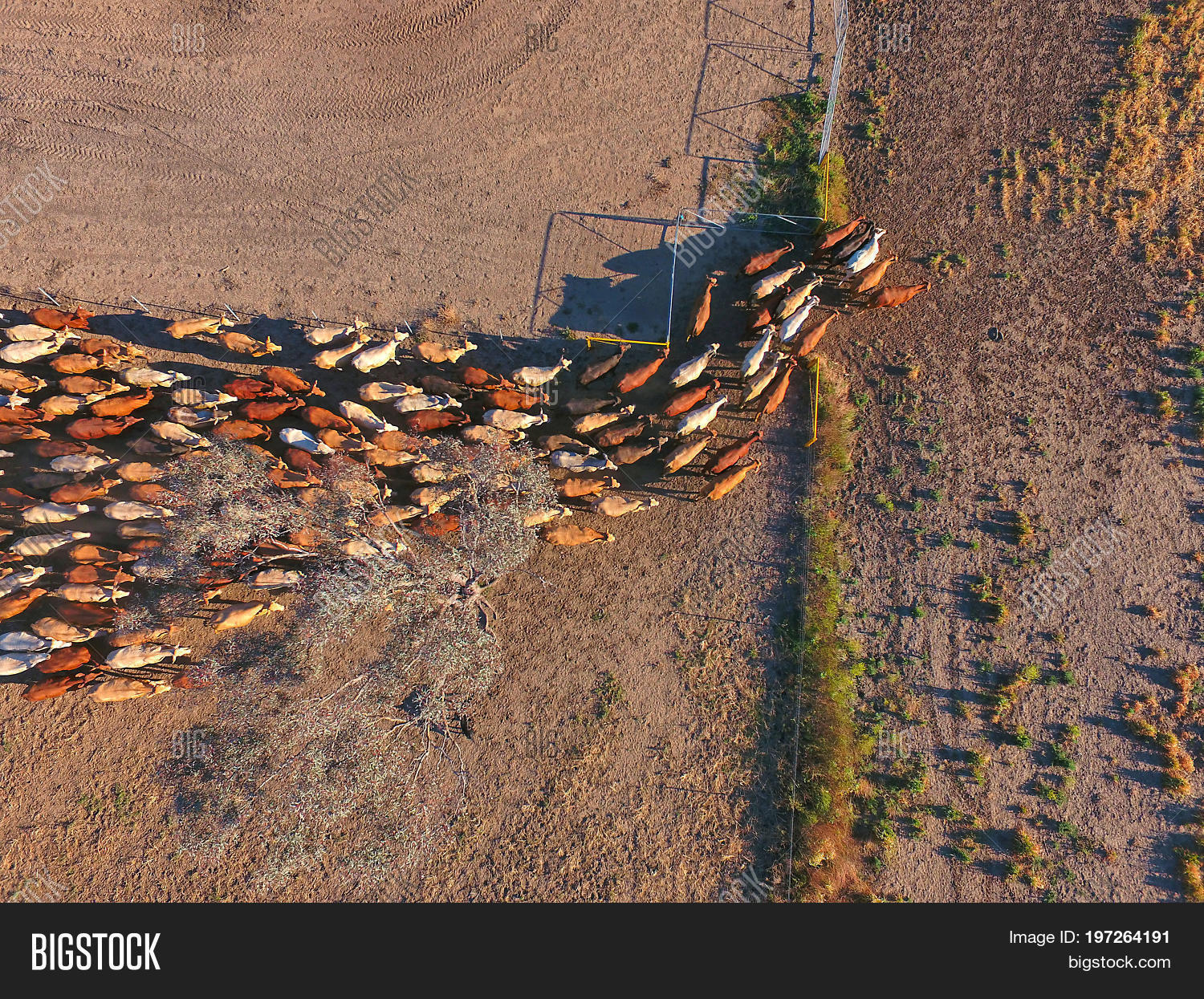 Osheaga Aerial View Top Down Aerial View Of Oasis In Desert 5645139 Stock Video At Vecteezy