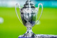 Coupe De France Coupe De France : "il Y A Eu Trop De Précipitation Dans Notre Jeu