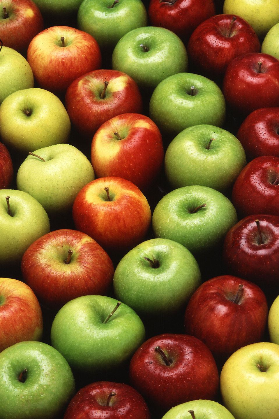 Today's South African Match – Aussie apples – different types, different seasons
