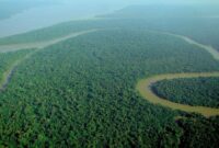 Brazil Next Match Today – 18 best tourist attractions in brazil (ultimate guide)