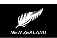 Josie Hart Net Worth And Salary – new zealand silver fern flag 5 x 3ft Josie Hart Net Worth And Salary – new zealand silver fern flag 5 x 3ft