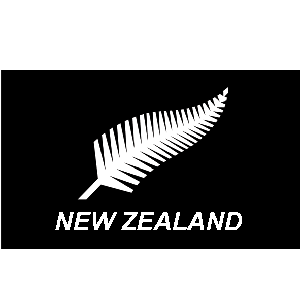 Josie Hart Net Worth And Salary – new zealand silver fern flag 5 x 3ft