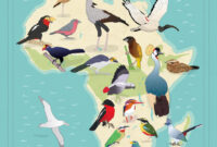 Who Is Michael Richards Married To – list of birds found in the congo with pictures Who Is Michael Richards Married To – list of birds found in the congo with pictures