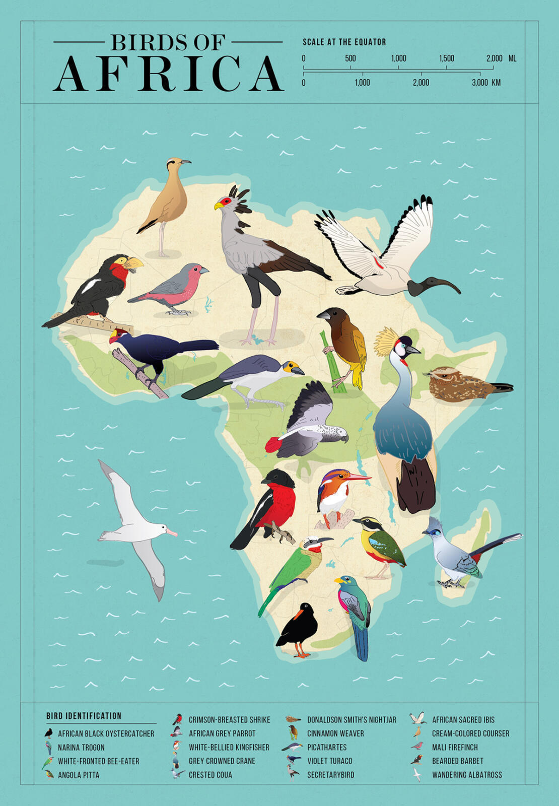 Who Is Michael Richards Married To – list of birds found in the congo with pictures