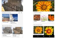 Nz V France Rugby – Visual search guide: what is it & how to Nz V France Rugby – Visual search guide: what is it & how to