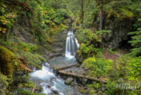 What Position Does Wayne Rooney Play – Virgin creek falls trail: easy, beautiful & a must-do – the alaska life What Position Does Wayne Rooney Play – Virgin creek falls trail: easy, beautiful & a must-do – the alaska life
