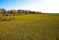 Argentina X Paraguai Sub 23 – A diverse landscape in argentina with andes mountains, plains, and … Argentina X Paraguai Sub 23 – A diverse landscape in argentina with andes mountains, plains, and …