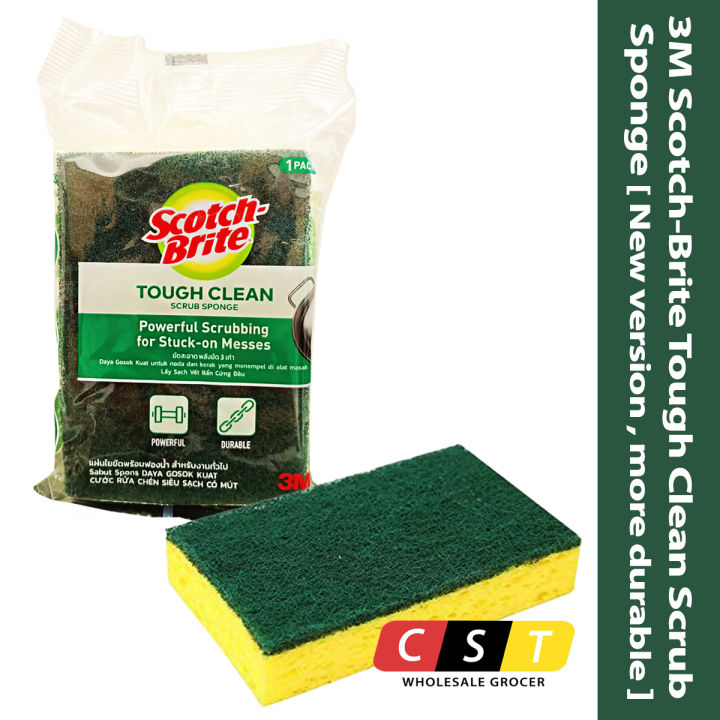 Who Is Sir Kenny Dalglish Married To – Jual scotch brite tough clean scrub sponge