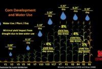 Gb Davis Cup 2026 – Demand of npk and water requirement of corn in its life cycle (colless … Gb Davis Cup 2026 – Demand of npk and water requirement of corn in its life cycle (colless …