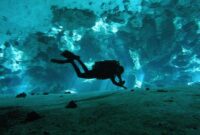Dr Who Christmas 2024 Cast – Scuba diving in the cenotes of the yucatan – peachin adventure