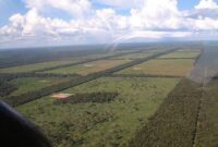 Paraguay Size Vs Argentina – paraguay geographical map Paraguay Size Vs Argentina – paraguay geographical map