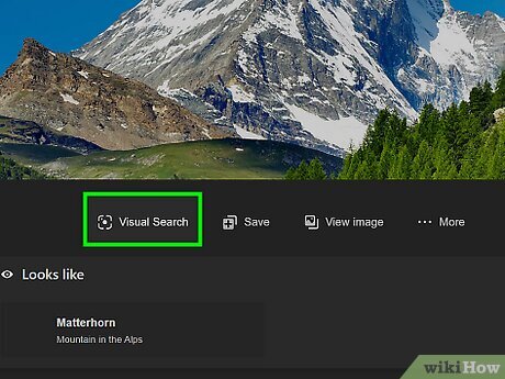  How to Do an Image Search on Bing: Quickstart Guide + Tips Motiv 