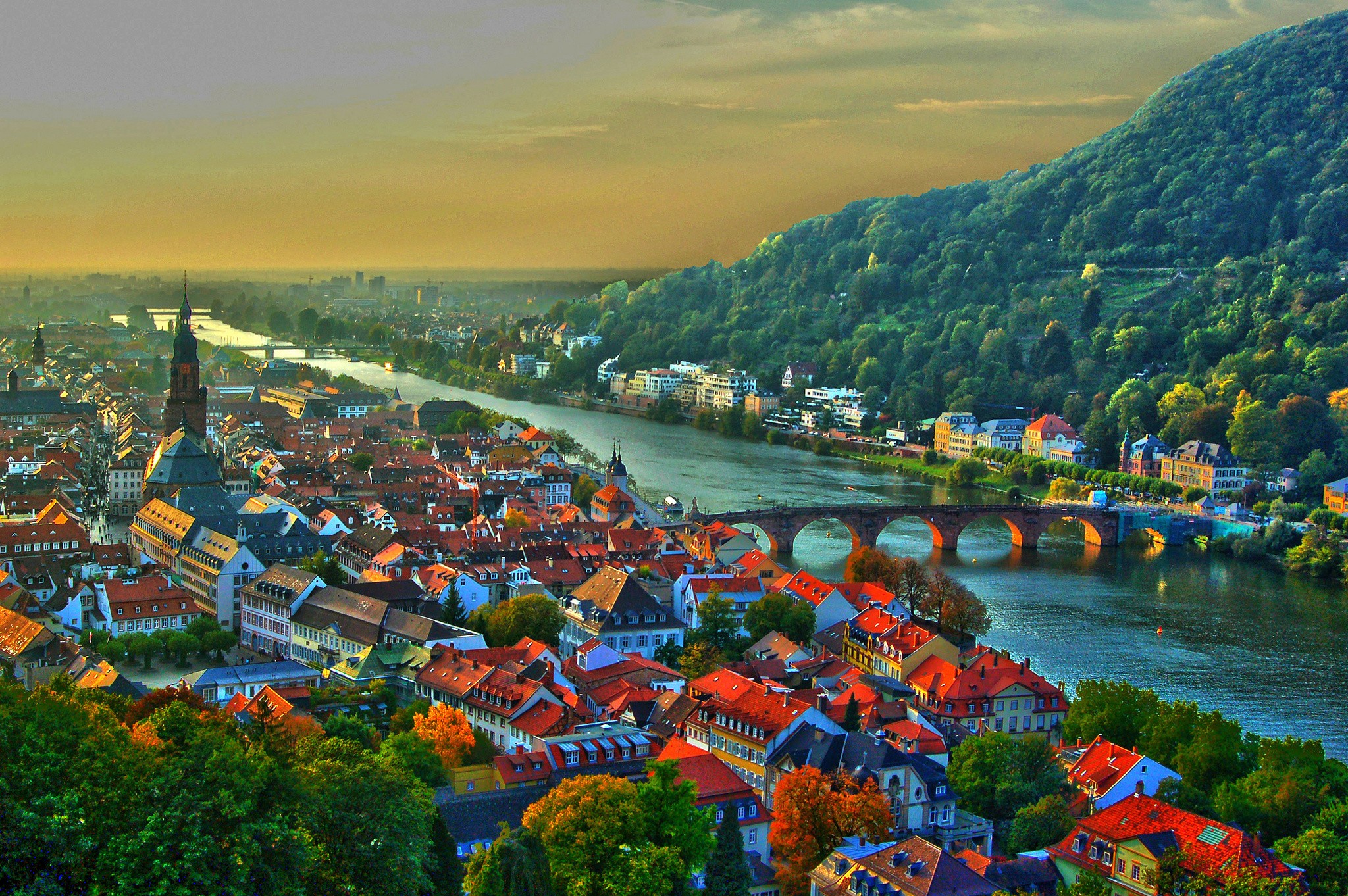  Heidelberg Cityscape: Historic Bridge & Charming Buildings in Germany 