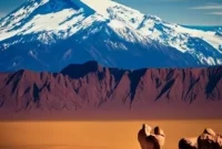 Argentina Uruguay Sub 20 2025 – argentina fact page: physical geography Argentina Uruguay Sub 20 2025 – argentina fact page: physical geography